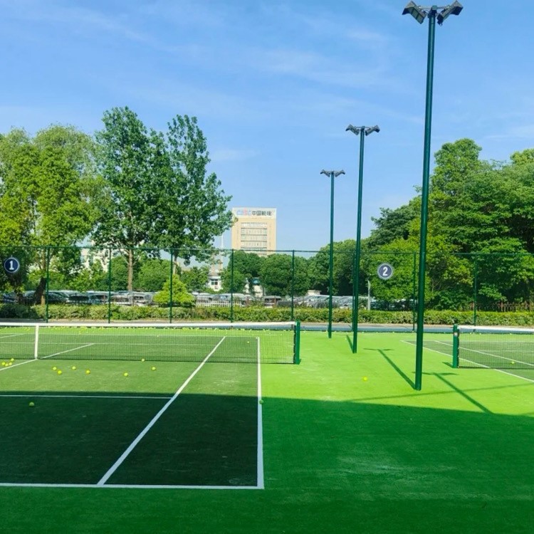 Artificial Lawn